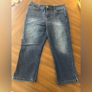 D. Jeans Capri Size 4
